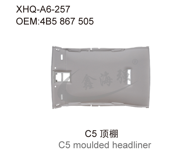 C5 顶棚