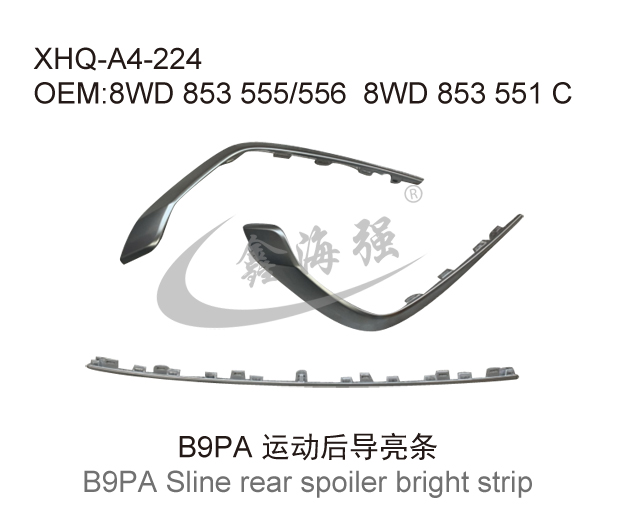 B9PA运动后导亮条