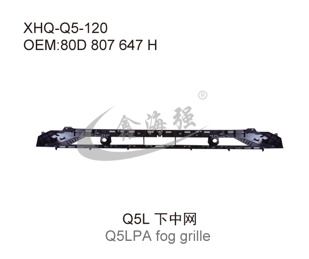 Q5L下中网