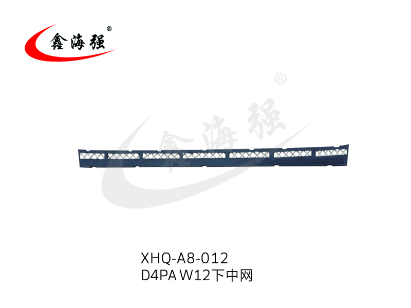 XHQ-A8-012 D4PA W12下中网